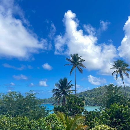 Happy Nest Dominica Hotel Marigot Ngoại thất bức ảnh