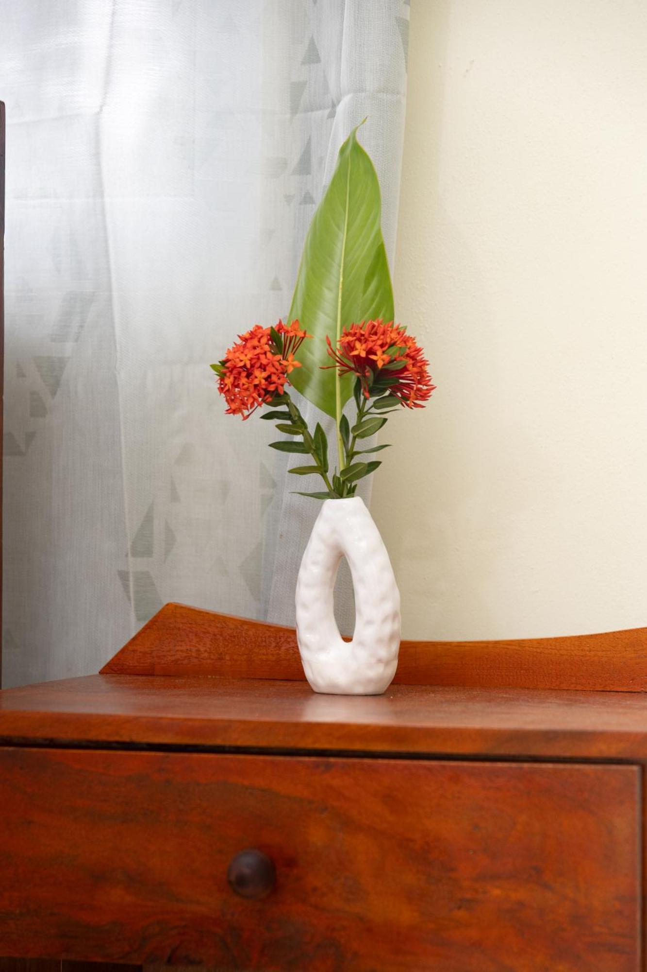 Happy Nest Dominica Hotel Marigot Ngoại thất bức ảnh
